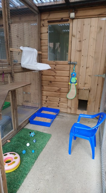 The Mews Boarding Cattery