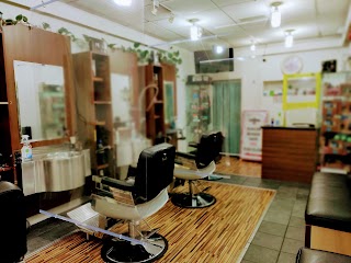 Turkish Barber Swords