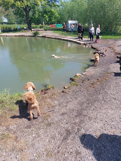 Unleashed Dog Adventure Park