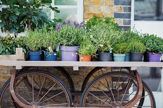 Catkin & Pussywillow Artisan Florist, Winchester