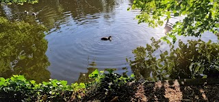 The Canons Park Estate pond