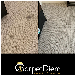 Carpet diem