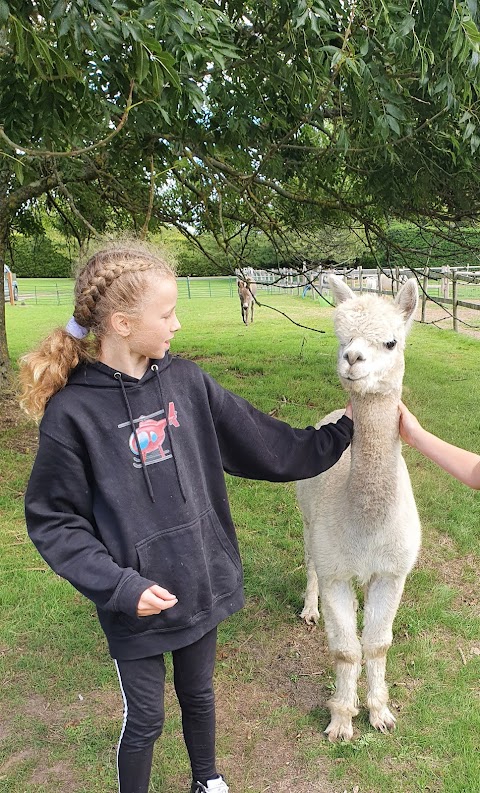 Northlands Farm and Lakes