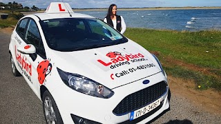 Ladybird Driving School Bray