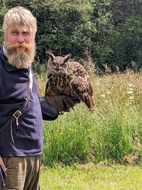 Strathblane Falconry