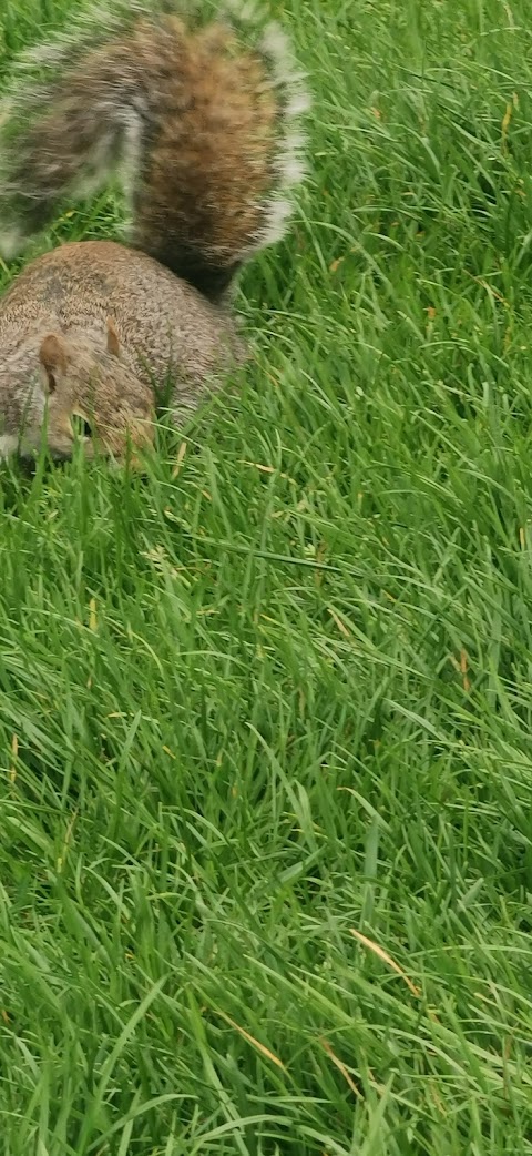 Pilrig Park