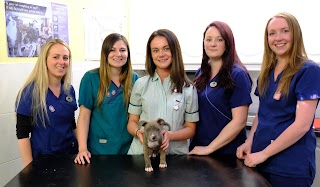 Abercorn Vets, Portobello High Street