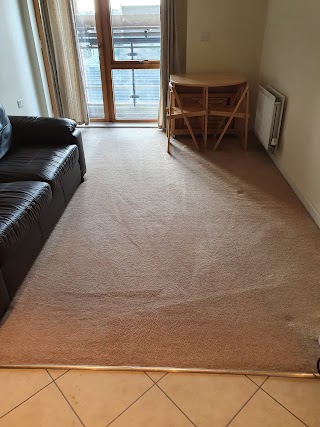 Carpet Cleaning in Reading