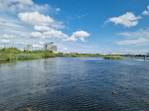 Hamadryad Park