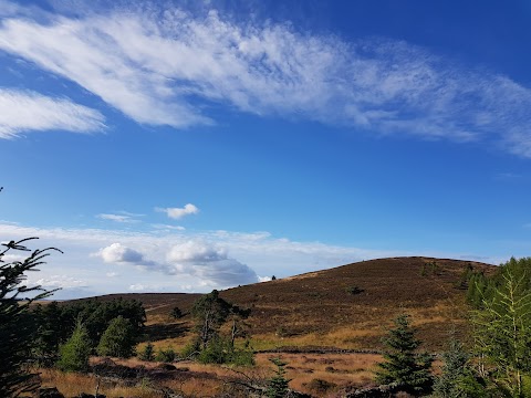 Whitehill Stone Circle