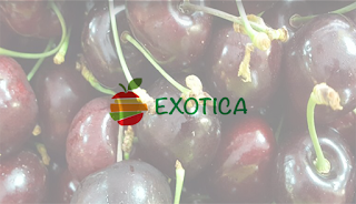 Exotica world foods