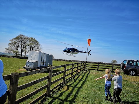 Moor Grange Farm