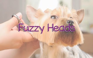 Fuzzy Heads