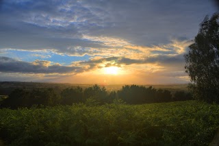 Cannock Chase Country Park