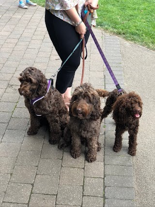 Paw-FETCH! Dog walking and Boarding