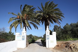 Algarve Villa Rentals