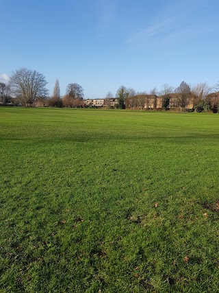 Christchurch Meadows