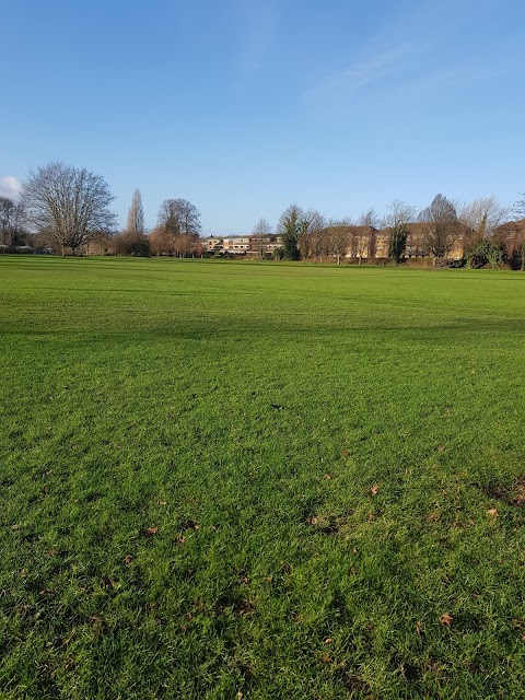 Christchurch Meadows