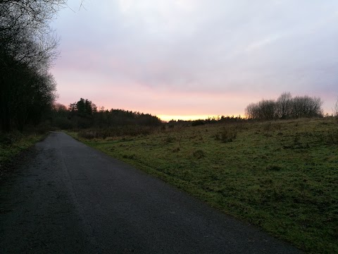 Mynydd Mawr Woodland Park