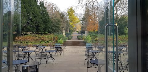 Garden Cafe - Holburne Museum