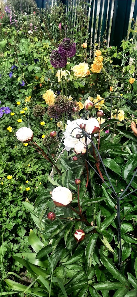 Garden Of Flowers Fettercairn