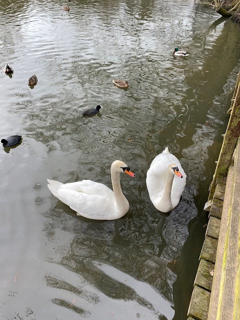 Allestree Park