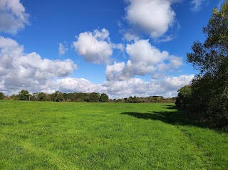 Wellesley Water Meadow