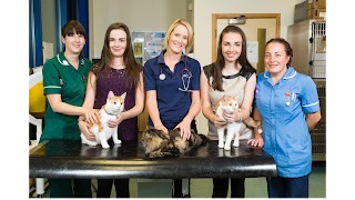 Rutland House Veterinary Clinic & Aquazone, Freckleton