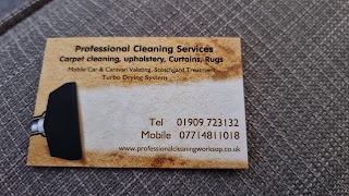 Professional Cleaning Services