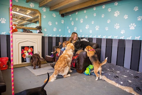 Sherston Doggy Daycare LTD