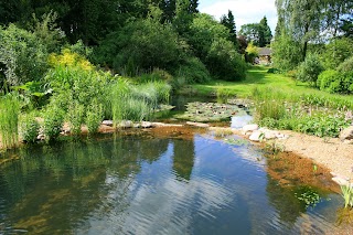 Gartenart Swimming Ponds