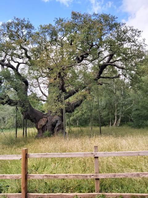 Sherwood Forest Fun Park