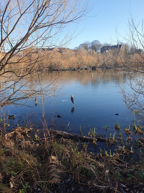 Lochend Park