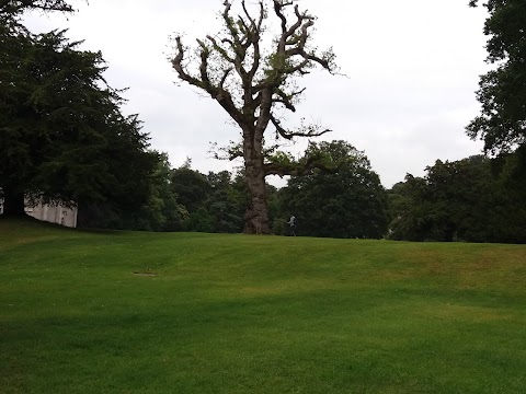 Park Academy Nature Kindergarten