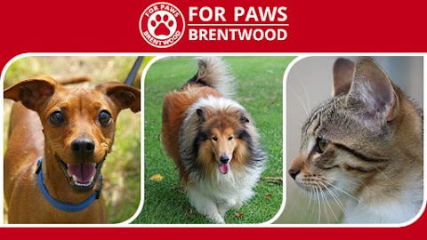 For Paws Brentwood