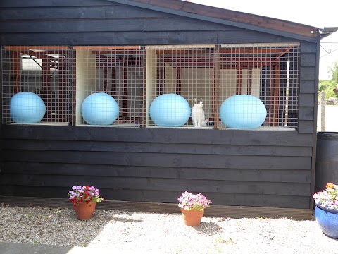 Kingfisher Pet Boarding, Cattery and Small Animals