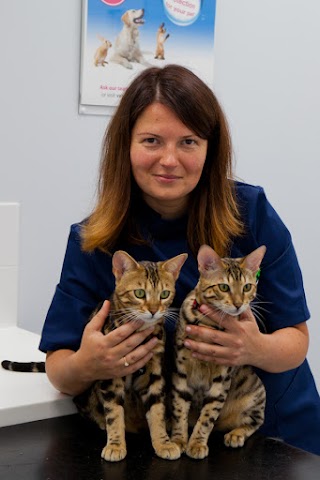 Vets4Pets - Old Kent Road