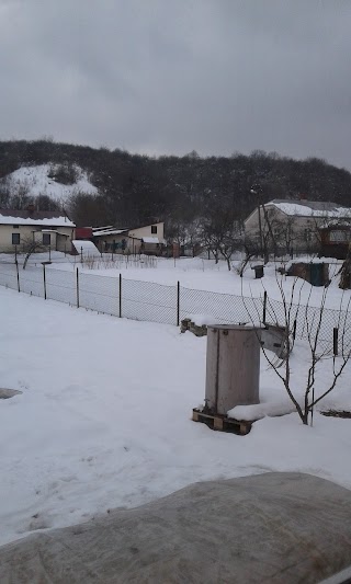 Великі Грибовичі, ВПЗ