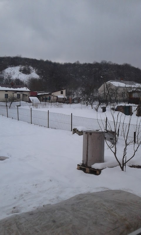 Великі Грибовичі, ВПЗ