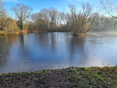 Grebe Pool