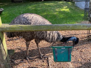 Battersea Park Children's Zoo