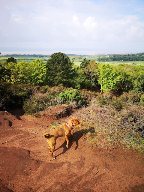 Thor's Stone, Thurstaston