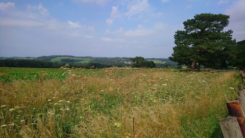 Bretton Country Park Kennels and Cattery