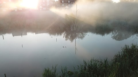 Darwin's Walk Pond