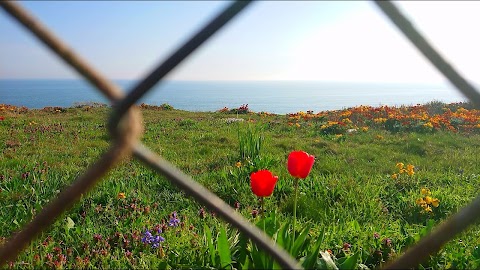 Weatherall Coastal Cottage