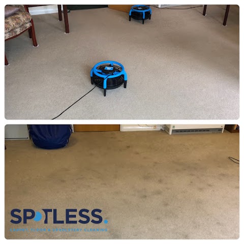 Spotless Commercial Carpet Cleaning