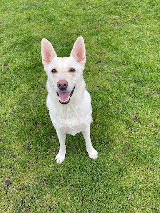 Burnedge Boarding Kennels & Cattery