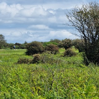 Kenfig National Nature Reserve