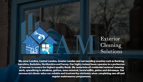 AM Exterior Cleaning Solutions