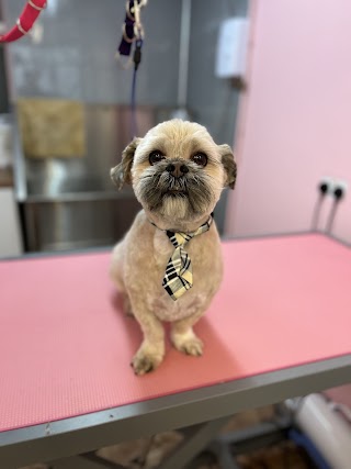 Bark and Beauty Dog Grooming